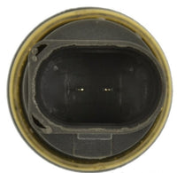 BULBO TEMPERATURA RADIADOR TS608